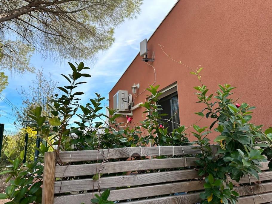 Moderne Mini Maison Lézignan-Corbières Eksteriør billede