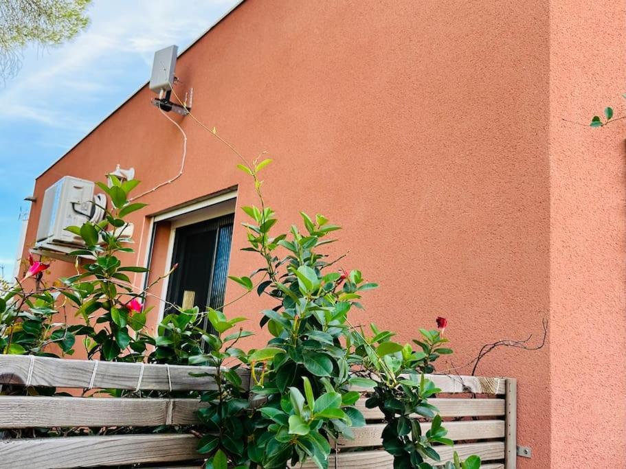 Moderne Mini Maison Lézignan-Corbières Eksteriør billede
