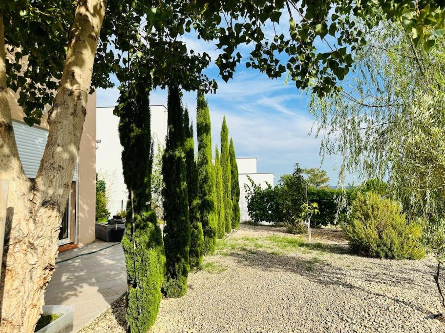 Moderne Mini Maison Lézignan-Corbières Eksteriør billede